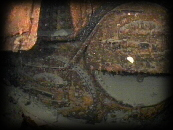 Boiler Doors